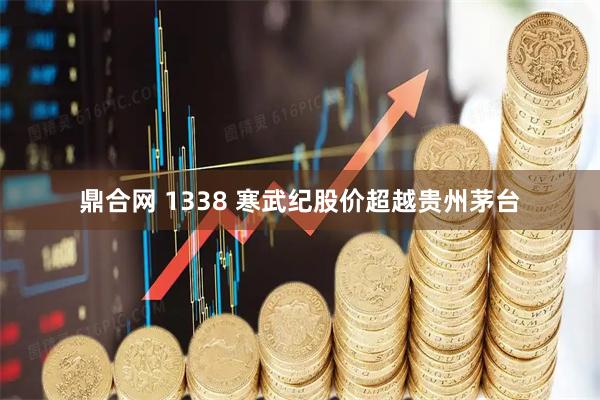 鼎合网 1338 寒武纪股价超越贵州茅台