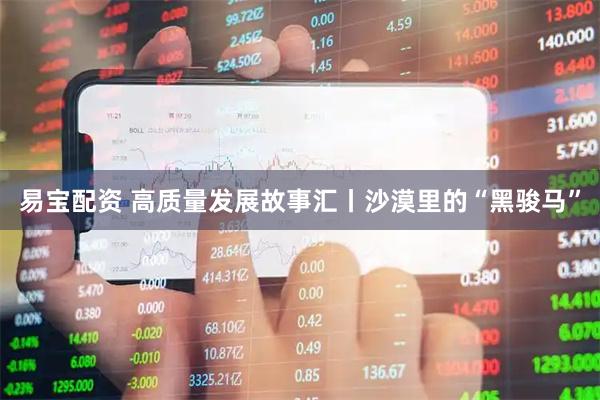 易宝配资 高质量发展故事汇丨沙漠里的“黑骏马”