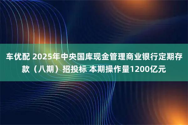 车优配 2025年中央国库现金管理商业银行定期存款（八期）招投标 本期操作量1200亿元