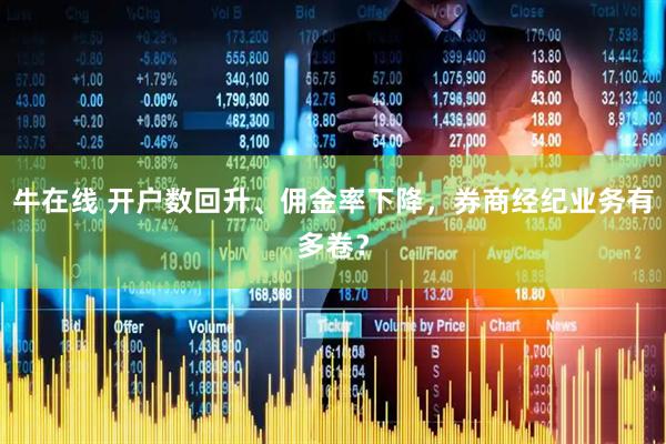 牛在线 开户数回升、佣金率下降，券商经纪业务有多卷？